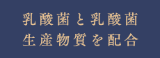 乳酸菌と乳酸菌生産物質を配合