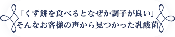 くず餅の発酵過程で見つかった乳酸菌