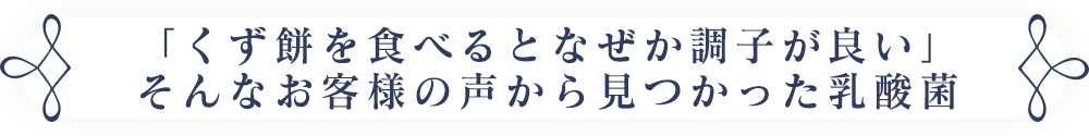 くず餅の発酵過程で見つかった乳酸菌