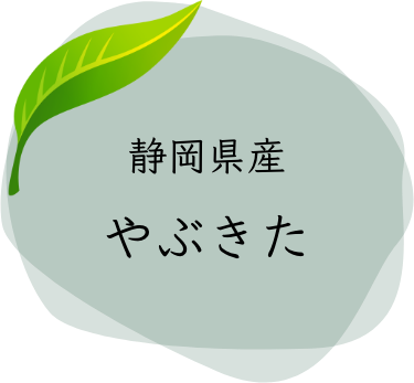 静岡県産 やぶきた
