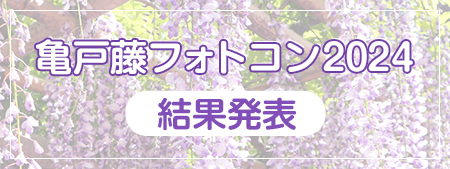 亀戸藤フォトコン2024 結果発表