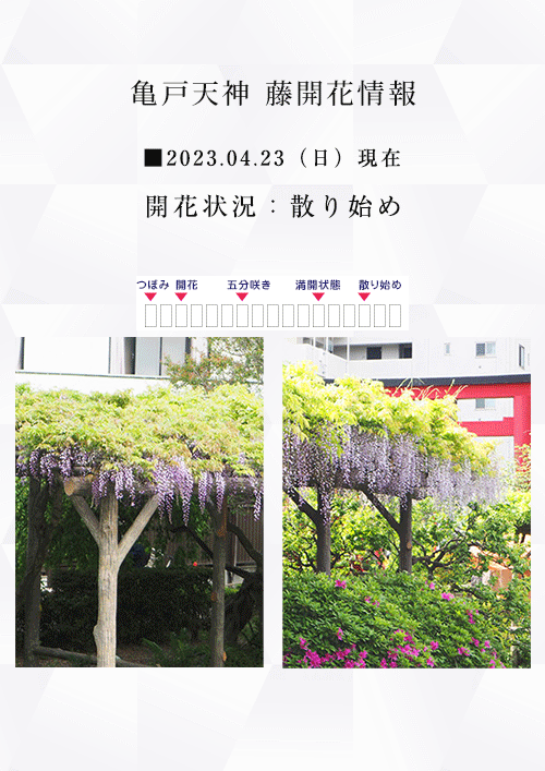 元祖くず餅 船橋屋 創業文化二年 日本における発酵くず餅発祥の店 元祖くず餅 船橋屋 創業文化二年 日本における発酵くず餅発祥の店