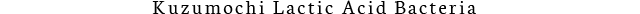 Kuzumochi Lactic Acid Bacteria