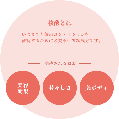 核酸とは新しい細胞をつくり出すために必要不可欠な成分です。