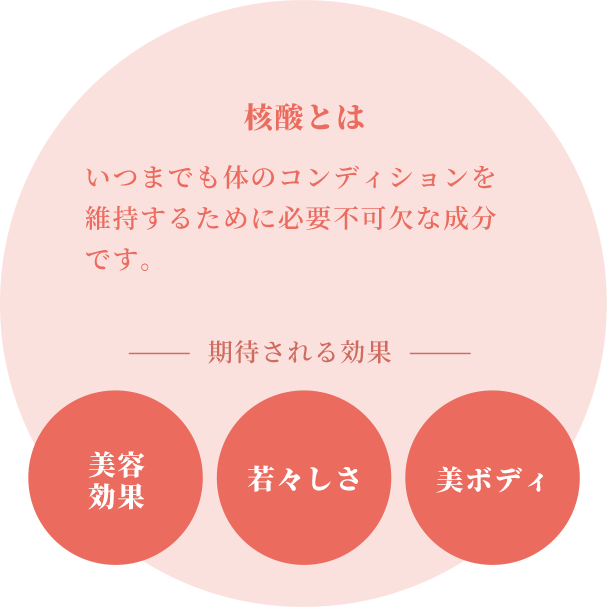 核酸とは新しい細胞をつくり出すために必要不可欠な成分です。