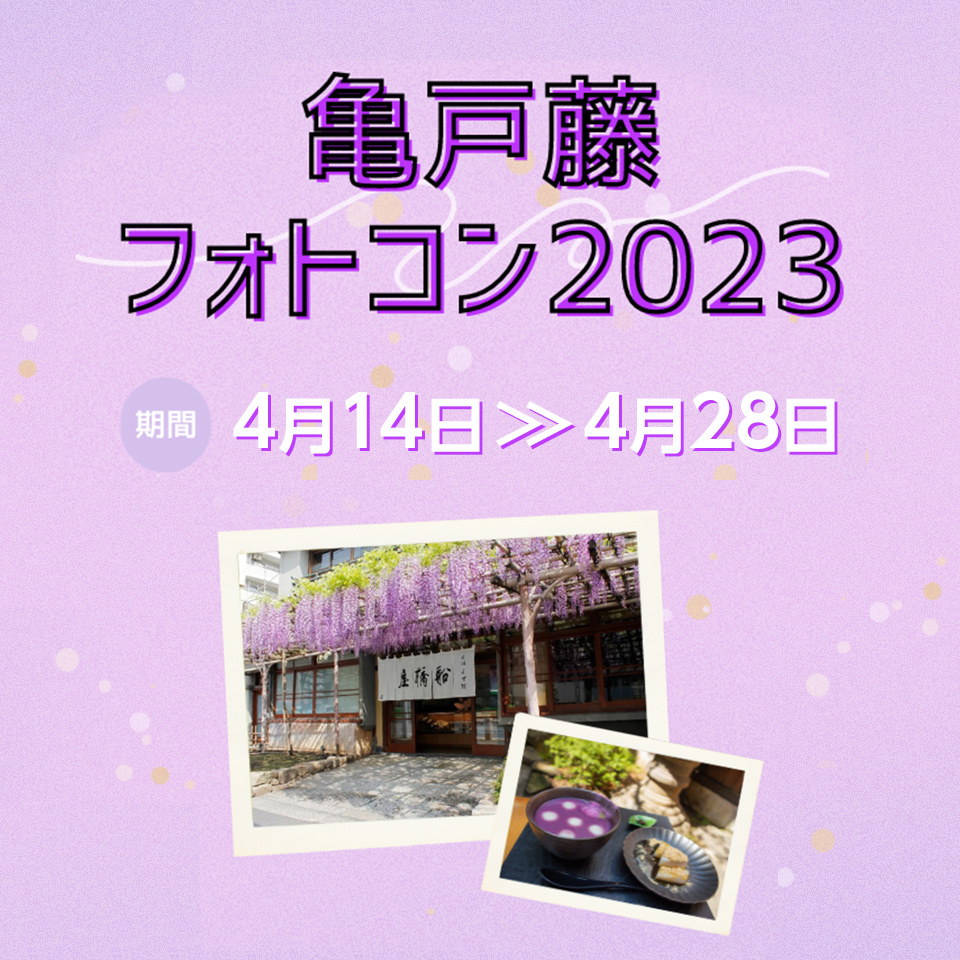 亀戸藤フォトコン2023　期間：4月14日(金)～4月28日(金)