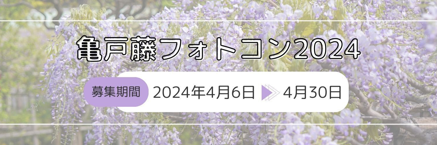 亀戸藤フォトコン2024　期間：4月6日(土)～4月30日(火)