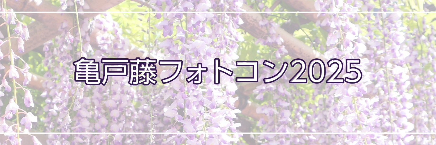 亀戸藤フォトコン2025
