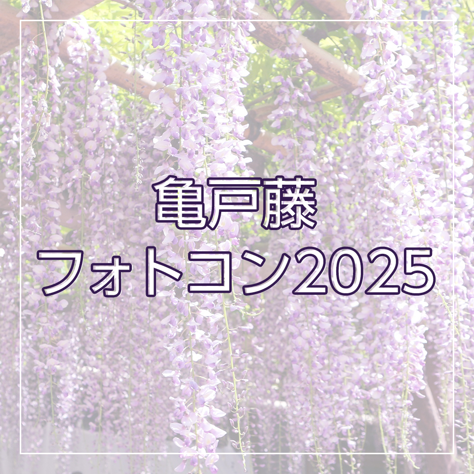 亀戸藤フォトコン2025